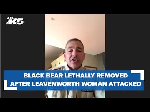 Black bear lethally removed, cubs sent to rehabilitation after Leavenworth woman attacked