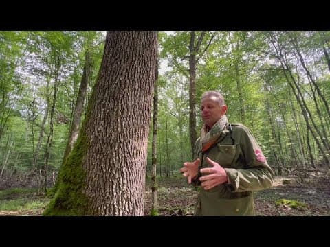 Calculating carbon credits | ECO9