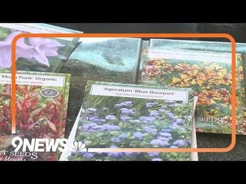 It's time to get organized for spring gardening