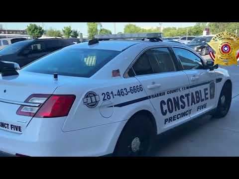 Mom leaves young kids home alone for days while she goes on cruise, court records say