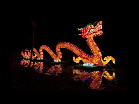 11 Days of Holiday Cheer: Radiant Nature at Houston Botanic Garden