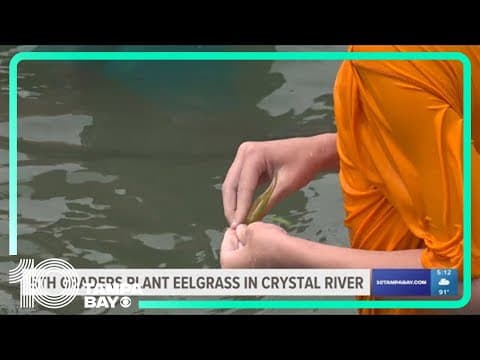 Fifth graders plant eelgrass in Crystal River to aid manatees