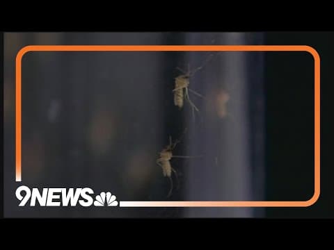 Colorado has its first confirmed West Nile virus case of 2024
