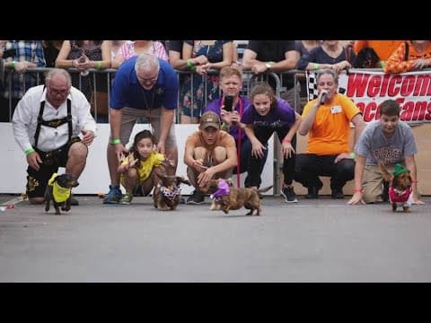 Deutsches Haus NOLA hosts Volksfest in New Orleans