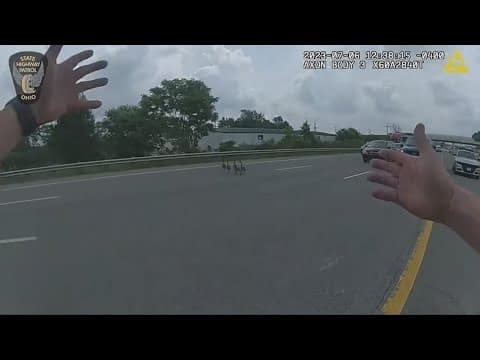 Ohio State trooper helps gaggle of geese cross the highway