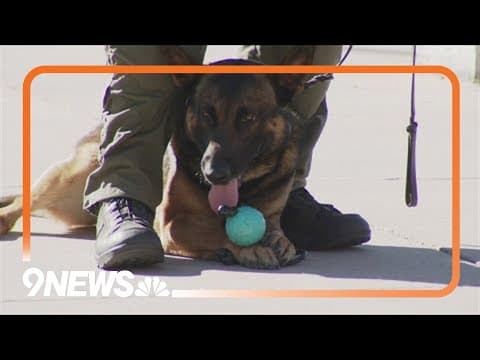 New memorial new honors K-9 officers