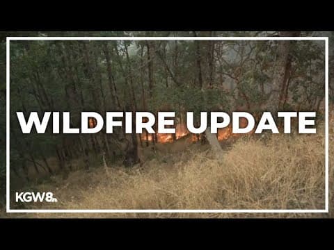 Wildfire near Mosier burns 700 acres