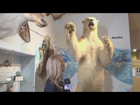 Summer camps for kids in Oak Ridge