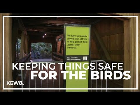 With avian flu spreading, Oregon Zoo and Clark County Fair keep many birds out of sight