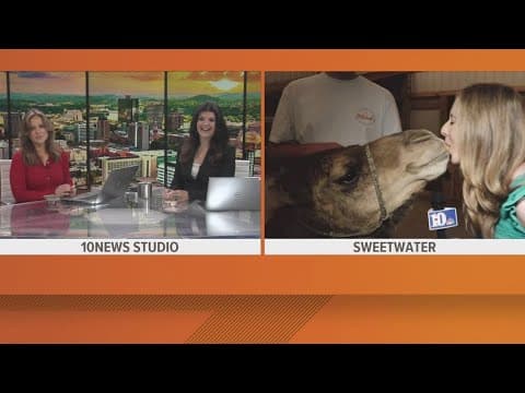 Mitchell's Petting Zoo gears up for spring public opening