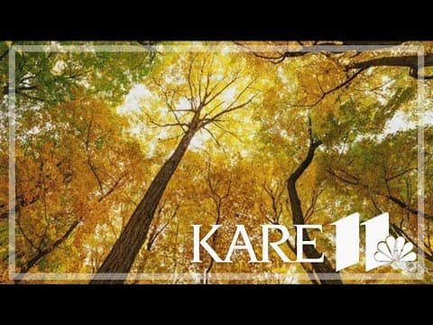 2024 Fall colors forecast for Minnesota