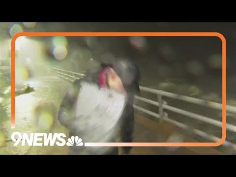 Anderson Cooper hit by flying object during live hurricane coverage