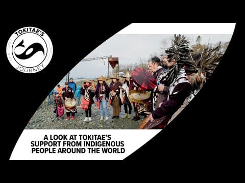 Indigenous communities worldwide throw their support behind Tokitae's return to Washington