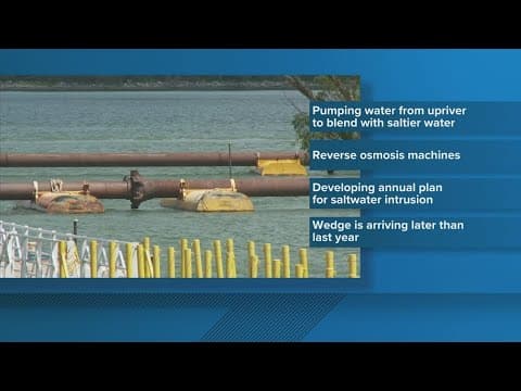 Plaquemines Parish responds to salt wedge