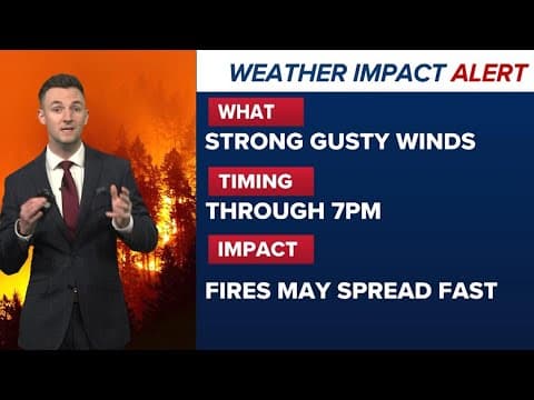 KHOU 11+ Weather Impact Alert: Gusting wind, low humidity prompts Red Flag Warning