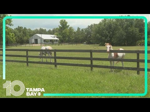 Plan to turn land in Lakewood Ranch into new homes clear another hurdle