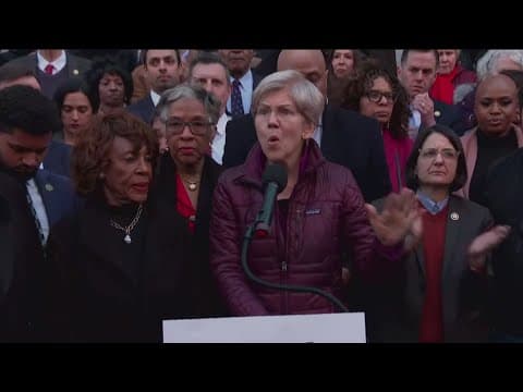 Democratic politicians join protest against Elon Musk's access to Treasury information