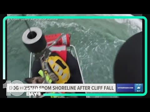 Dog falls down Oregon coast cliff, rescued by Coast Guard helicopter