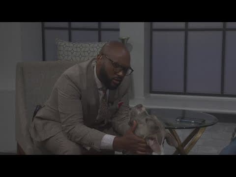 How to keep your dog healthy through its life