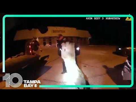 Bobcat stuck in grill of car is removed, wild body camera video shows