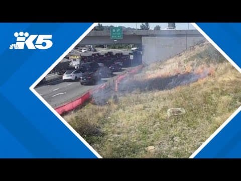 Brush fire breaks out near I-5 overpass