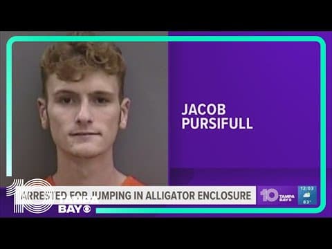 Police: Man who jumped into Busch Gardens alligator enclosure arrested
