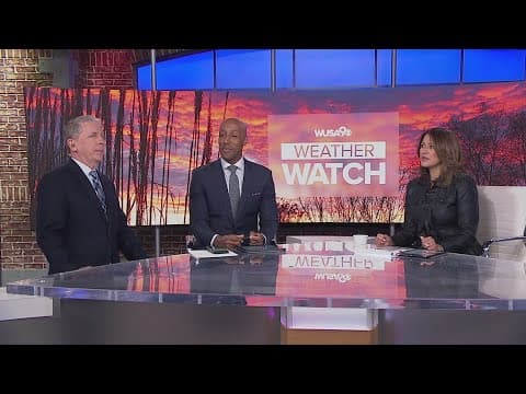 Unsolved mystery of the missing holiday lights