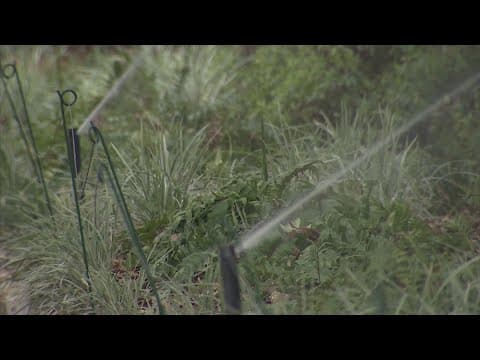 City of Houston calling for mandatory water conservation starting Sunday; violators could be fined