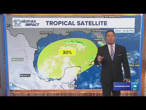 Tracking the tropics: Disturbance in the Gulf of Mexico decreases chance of development