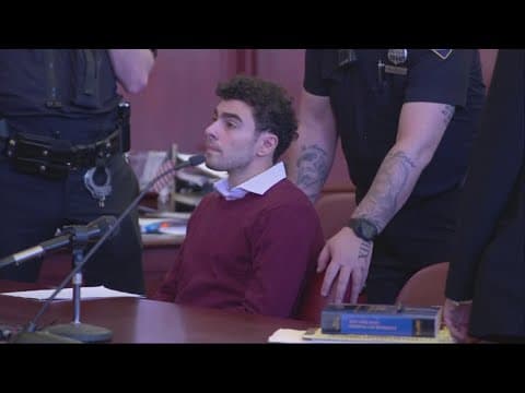 CEO murder suspect appears in court