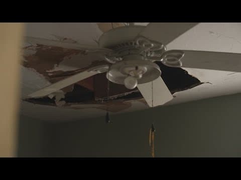 Florida woman’s home damaged by fallen tree; insurance disputes mold claim