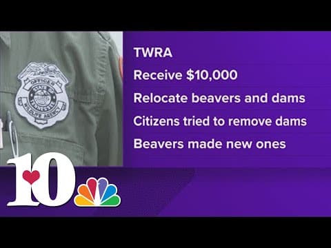 Campbell Co. to get $10,000 in flooding relief due to years-long battle with beavers in White Oak