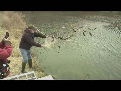 It's Maryland Youth Trout Fishing Day
