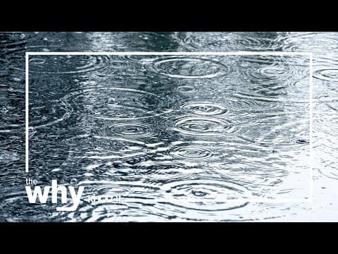 Why does rain make you sleepy?
