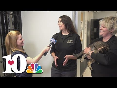 Hometown Spotlight: A look at Huntsville's historic Scott County jail