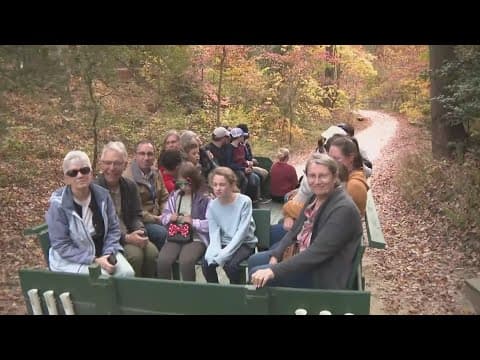 Mount Vernon Tractor Ride Experience | ECO9