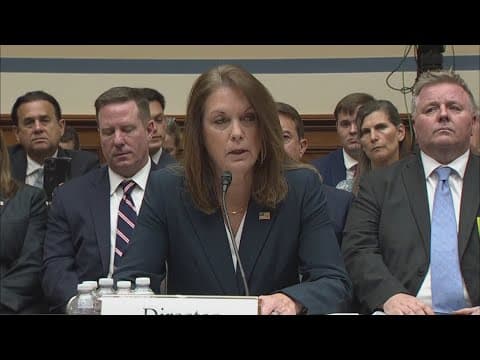 'We failed' | Secret Service director under scrutiny for failing to stop Trump assassination attempt