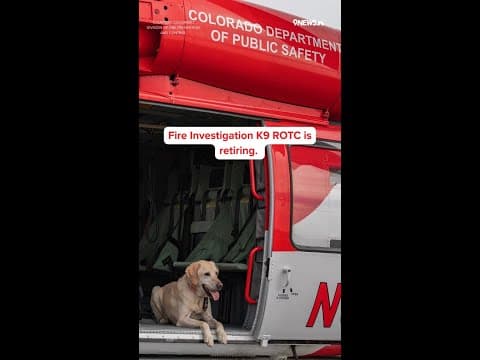 Arson dog retires after 5 years of dedicated service