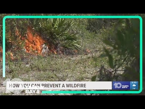 It's wildfire season again — here's what forestry workers want you to know