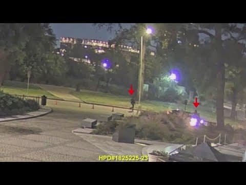 Surveillance video released of carjacking at Houston's Hermann Park