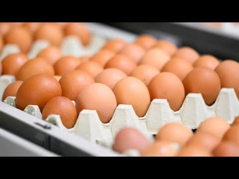 Egg prices expected to rise 20% this year