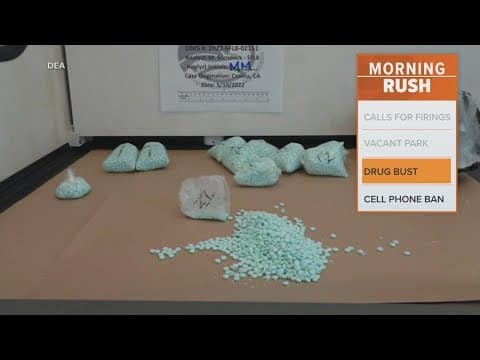 Over 20 Chinese nationals accused of laundering money for the cartel