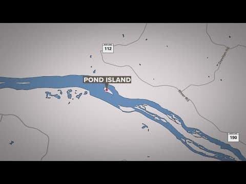 4 people, 2 dogs rescued from strong currents in Potomac River