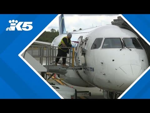 A new airline will add flights out of Everett's Paine Field