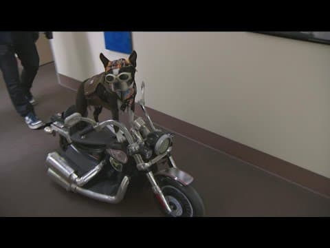 San Diego’s top stories for June 28