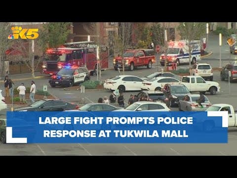 Large fight prompts police response at Southcenter Mall