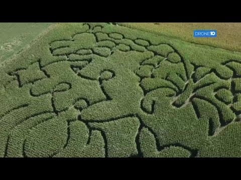 Navigating central Ohio corn mazes this fall