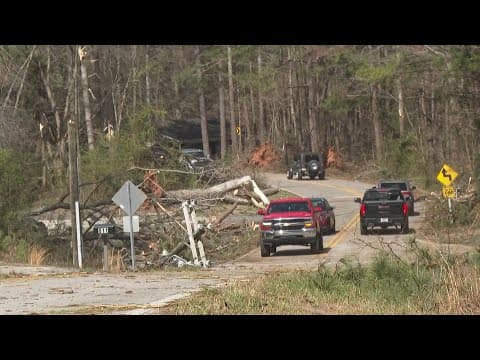 Downed trees and powerlines as storms hit Georgia