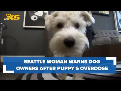 Seattle woman laments fentanyl crisis after puppy's overdose