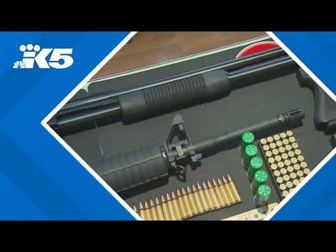 Former state Sen. Reuven Carlyle discusses proposed gun bills in Olympia